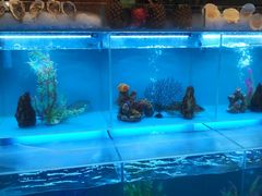 -怡咖啡·自助餐·西安香格里拉