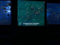 -重庆欢乐海底世界