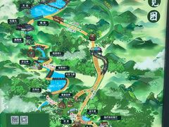 -大奇山国家森林公园