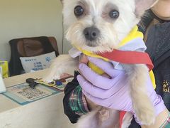 -艾贝尔宠物医院 ·内科全科(梁溪路店)