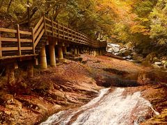 -光雾山旅游景区