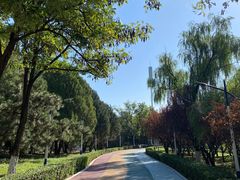 -青龙湖公园