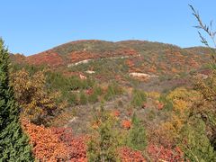 -鬼笑石后山停车场