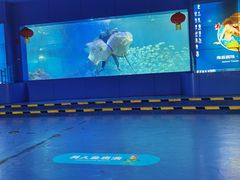 -重庆欢乐海底世界