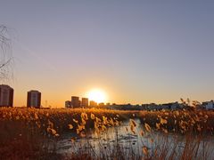 -天津东丽湖风景区