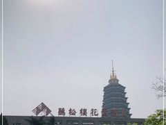 -听松楼·花园酒店·自助餐厅(红梅公园店)