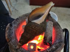 茅台炭烧响螺-金龙·打边炉(武进路店)