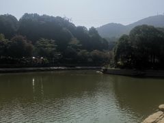 -广州市帽峰山景区