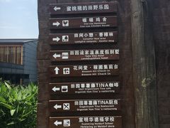 -田园东方蜜桃村的田野营地