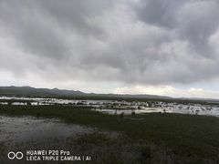 -郭莽湿地