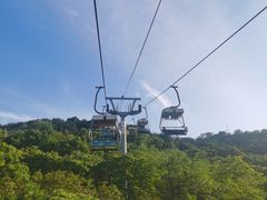 -富斯特索道