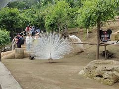 -哈尔滨北方森林动物园