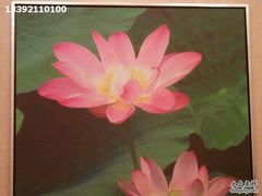 -黄埔华苑酒家(黄埔店)