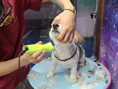 -FAELING PETS美天灵宠物(富力广场店)