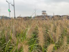 -中国天府农业博览园