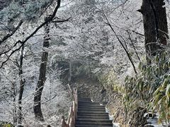 -黄山风景区