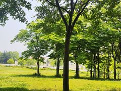 -南京市江宁方山
