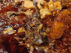 -探鱼·鲜青椒爽麻烤鱼(番禺万达店)