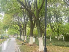 -汤山公园