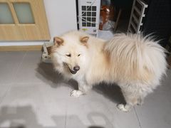 -肆兮眼镜·蔡司·徕卡战略合作店(大坪店)
