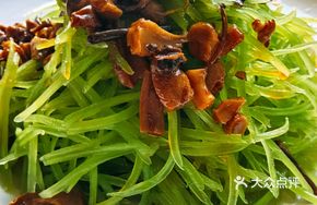 Tea Tree Mushroom and Lettuce Salad