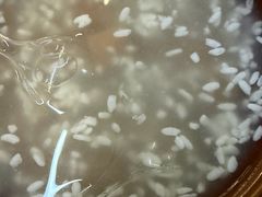 -王万妈卤猪脚(青岩交通路)