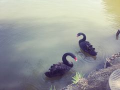 -兰陵国家农业公园