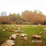 这次来上海住在长风公园附近，清早起来去散散步