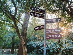 -灵谷景区