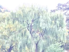 -香山公园-东宫门售票处