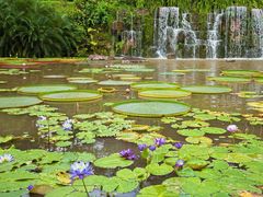 -中国科学院西双版纳热带植物园