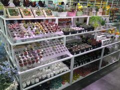 -KKV(天津津南吾悦广场店)