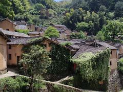 -杨家堂村
