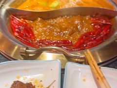 -熊喵来了火锅·牧场好肉(邯郸邯山万达店)