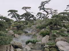 -罗红摄影艺术馆