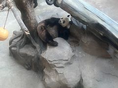-宁波野生动物园