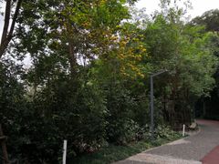 -狐尾山公园