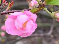 -白塘生态植物园