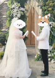 -金夫人婚纱摄影(总店)