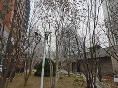 -南新仓文化休闲街