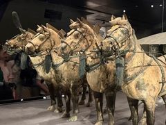 -秦始皇帝陵博物院-丽山园
