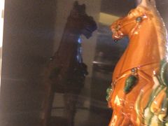 -杏花村水席楼·洛阳水席(老城十字街店)