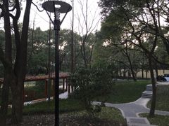 -徐家汇源景区-衡山公园