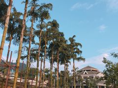 -重庆海昌加勒比海水世界