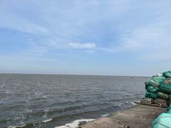 -碧海金沙