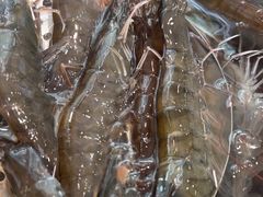 -山海经·海边人家 海鲜新青岛菜(扬州路店)