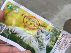 -秦皇岛野生动物园