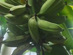 -石家庄市植物园