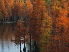 -白鹭湾湿地公园