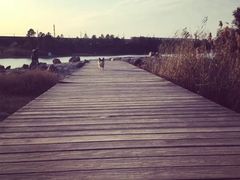iphone_upload_pic-美兰湖景区